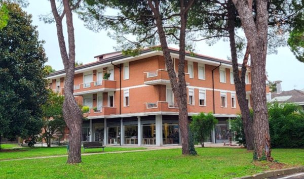 appartamento in vendita a Selvazzano Dentro in zona San Domenico