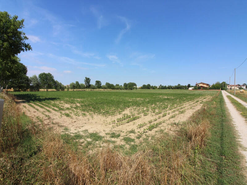 terreno agricolo in vendita a Selvazzano Dentro in zona Caselle
