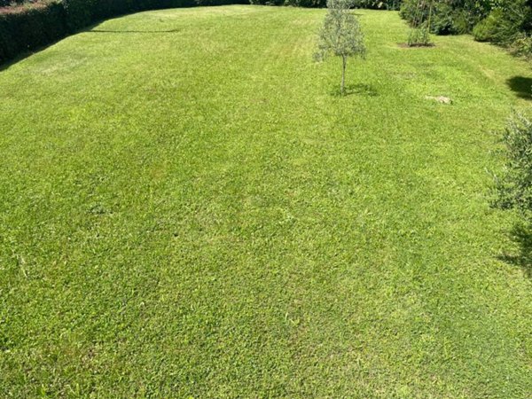 terreno agricolo in vendita a Selvazzano Dentro in zona San Domenico