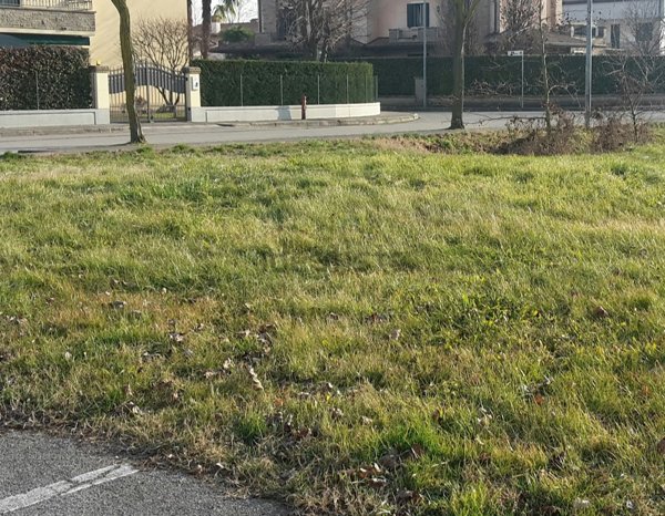bifamiliare in vendita a Selvazzano Dentro in zona San Domenico