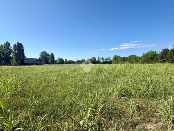 terreno agricolo in vendita a Selvazzano Dentro