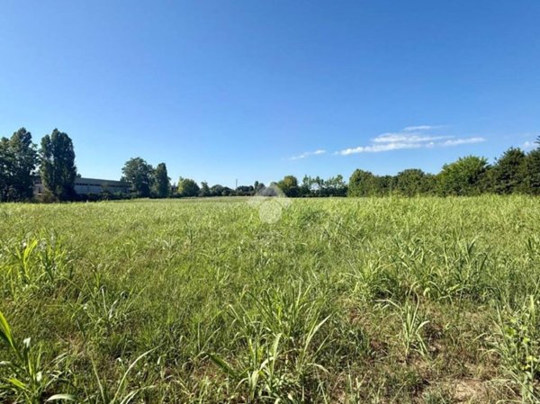 azienda agricola in vendita a Selvazzano Dentro