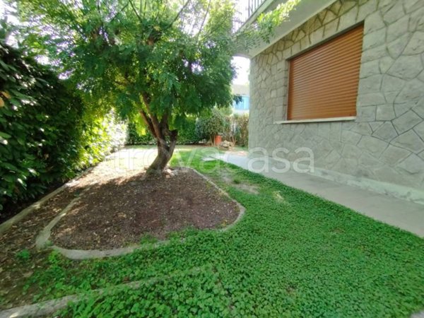 casa indipendente in vendita a Selvazzano Dentro in zona San Domenico