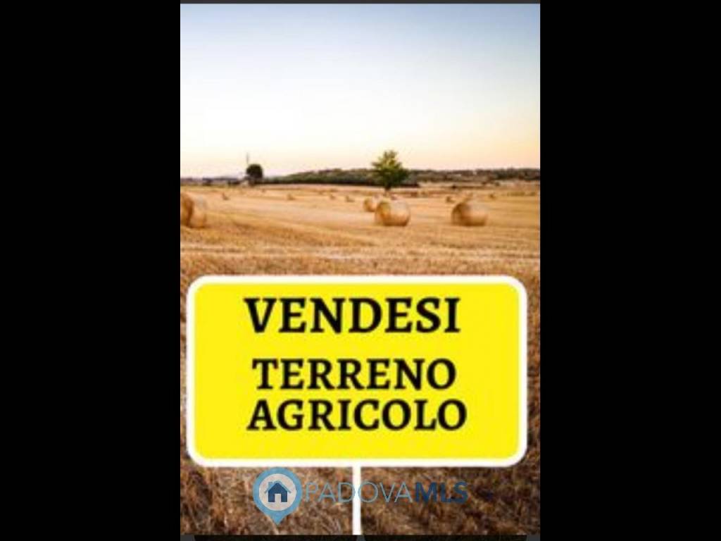 terreno agricolo in vendita a Solesino