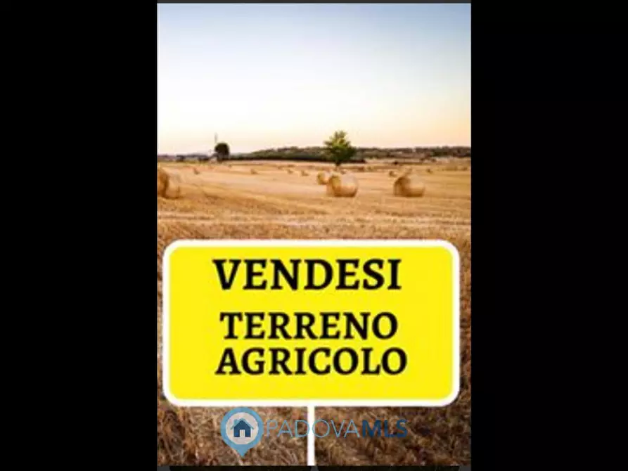 mansarda in vendita a Solesino