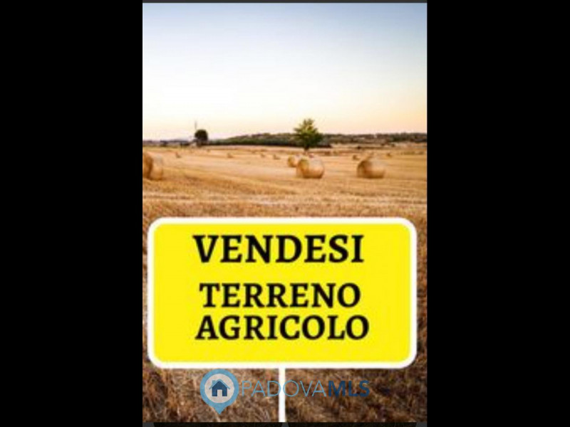 terreno agricolo in vendita a Solesino
