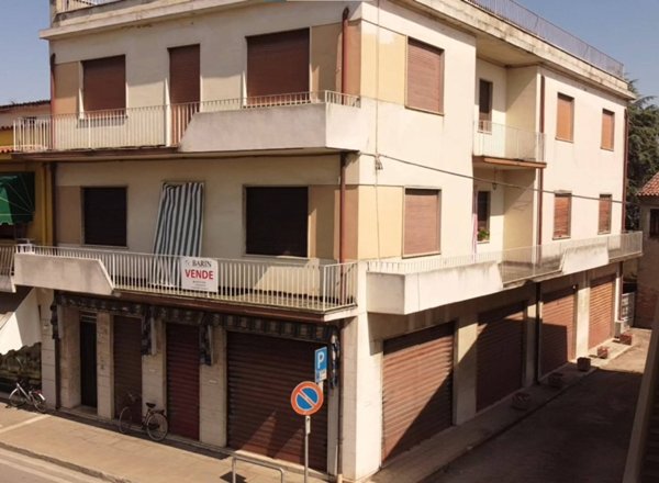 appartamento in vendita a Solesino