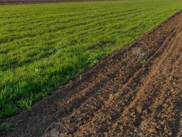 casa indipendente in vendita a Solesino