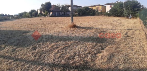 terreno agricolo in vendita a Solesino