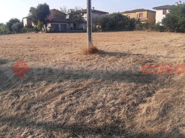 terreno agricolo in vendita a Solesino