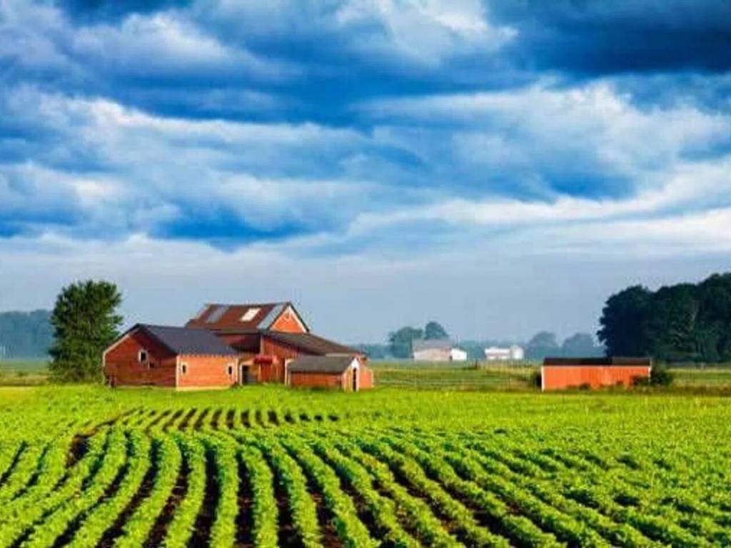 terreno agricolo in vendita a Solesino