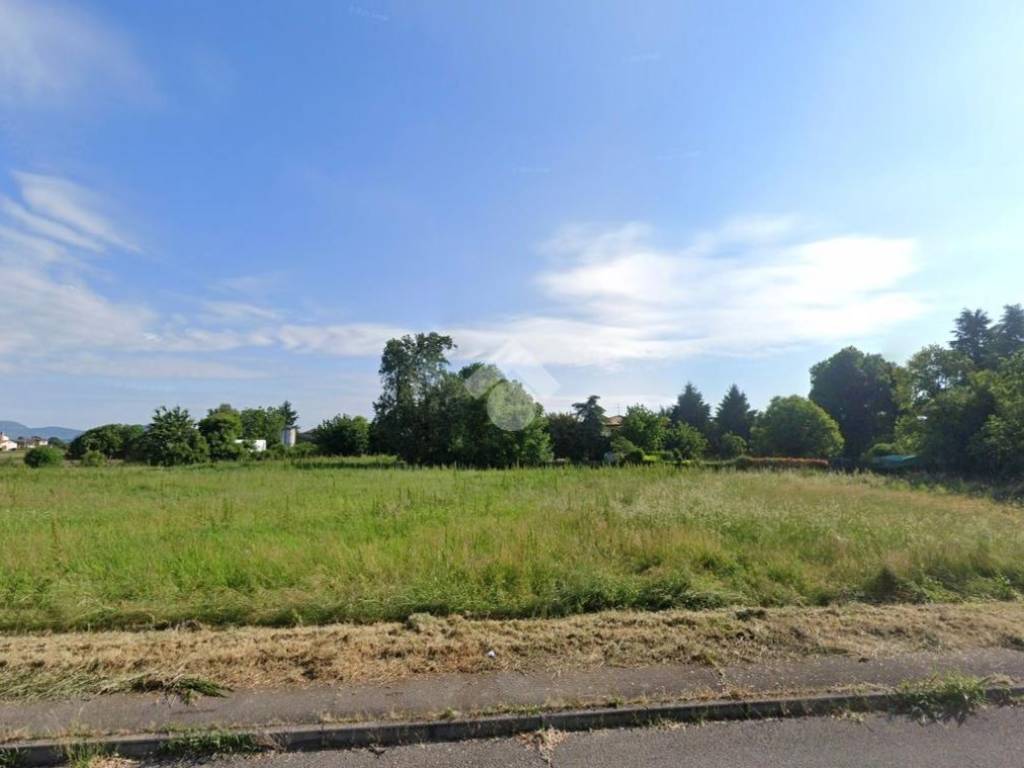 terreno agricolo in vendita a Solesino