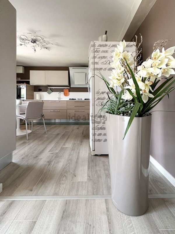 casa indipendente in vendita a Solesino