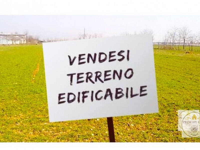 terreno agricolo in vendita a Solesino