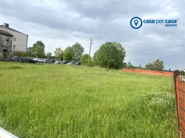 terreno agricolo in vendita a Solesino