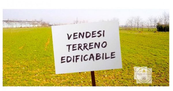 casa indipendente in vendita a Solesino