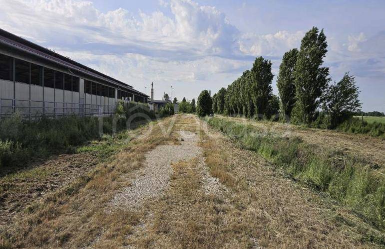 ufficio in vendita a Solesino in zona Arteselle