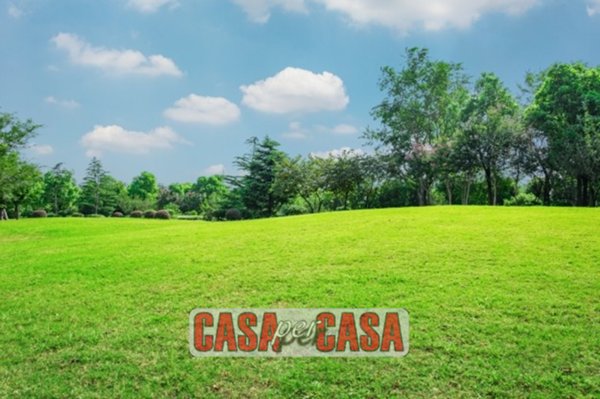 casa indipendente in vendita a Solesino in zona Arteselle
