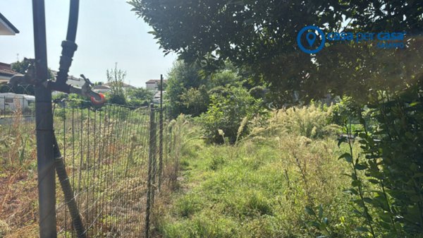 casa indipendente in vendita a Solesino
