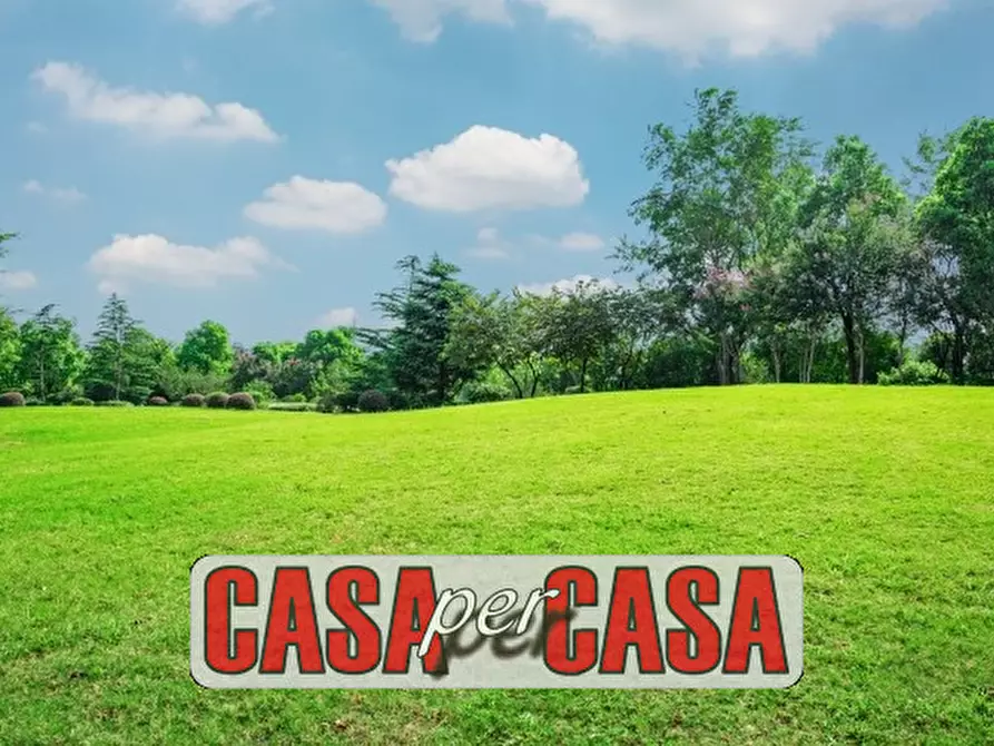 casa indipendente in vendita a Stanghella