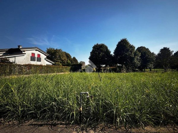 casa indipendente in vendita a Stanghella