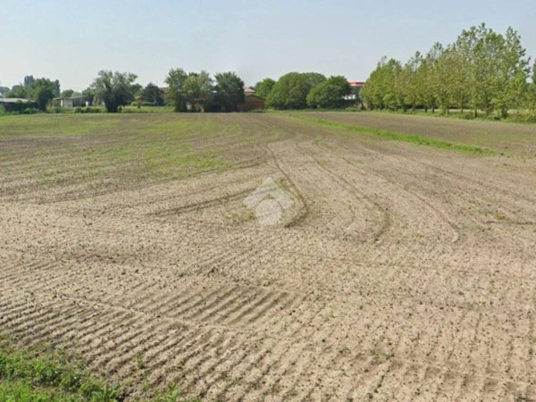 terreno agricolo in vendita a Stanghella