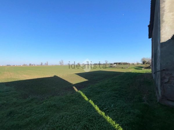 terreno agricolo in vendita a Stanghella