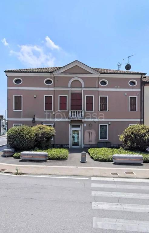 negozio in vendita a Stanghella