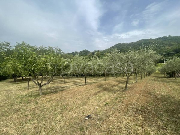 terreno agricolo in vendita a Teolo in zona Castelnuovo