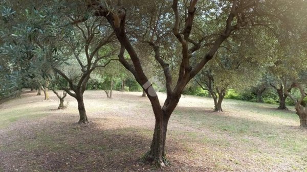 terreno edificabile in vendita a Teolo in zona Villa