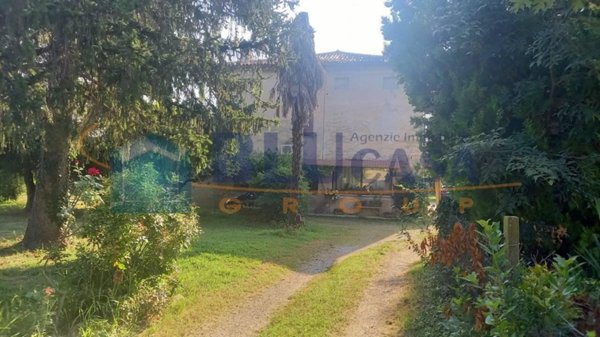 immagine annuncio 0 di 15