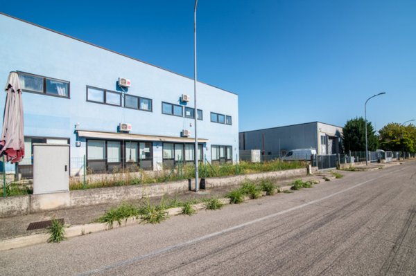 negozio in vendita a Teolo