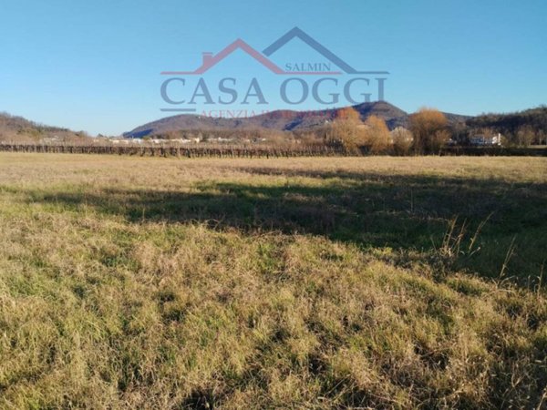 terreno agricolo in vendita a Teolo in zona Treponti