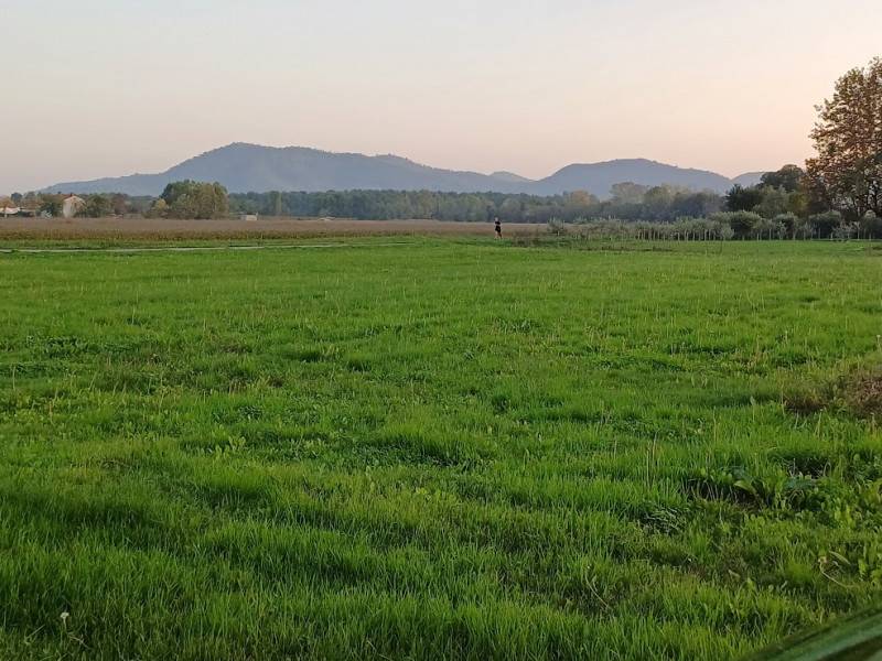 terreno agricolo in vendita a Teolo in zona Tramonte
