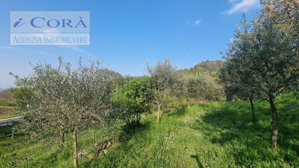 appartamento in vendita a Teolo in zona Castelnuovo