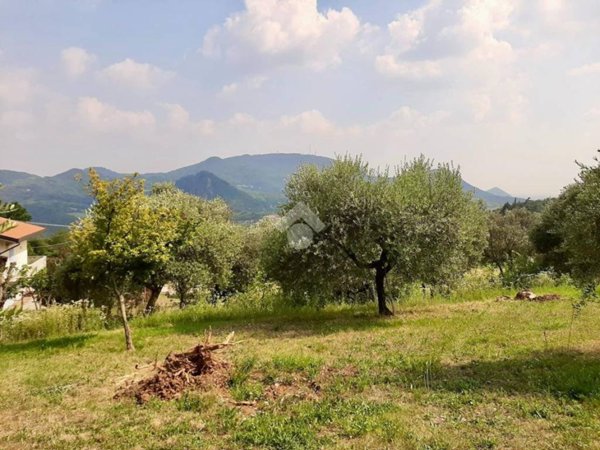 terreno agricolo in vendita a Teolo