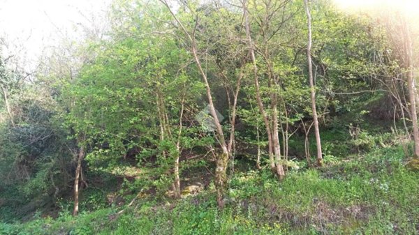 terreno agricolo in vendita a Teolo in zona Castelnuovo