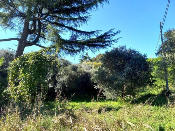 casa indipendente in vendita a Teolo in zona Villa