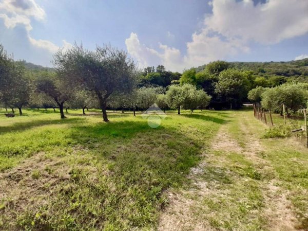 terreno agricolo in vendita a Teolo
