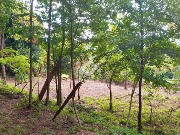 terreno agricolo in vendita a Teolo in zona Tramonte