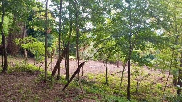 terreno agricolo in vendita a Teolo in zona Tramonte