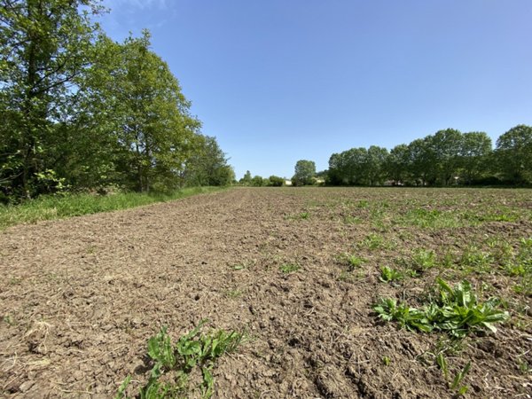 terreno edificabile in vendita a Teolo in zona Villa