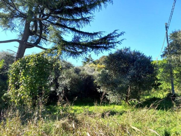 terreno agricolo in vendita a Teolo