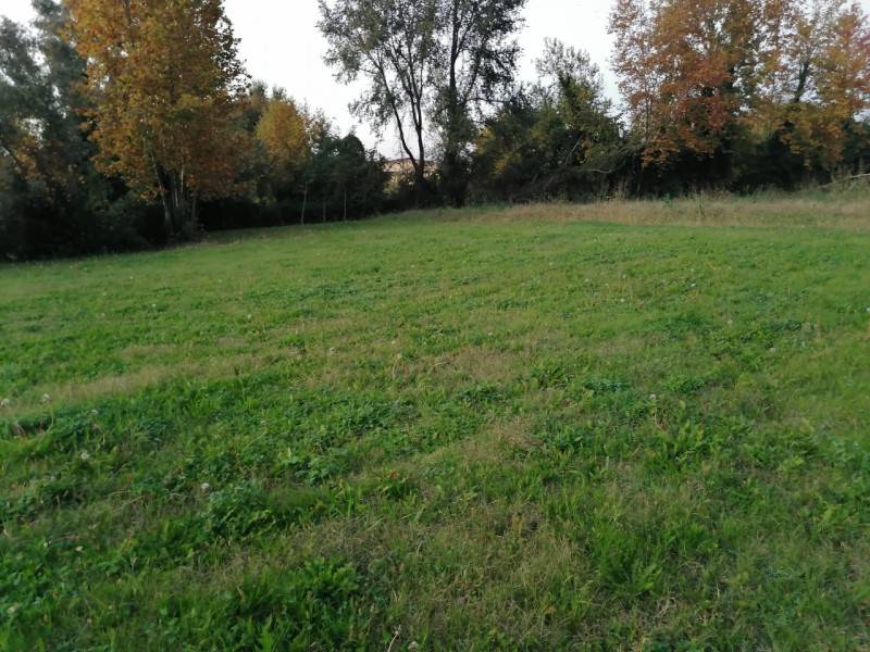 terreno edificabile in vendita a Teolo
