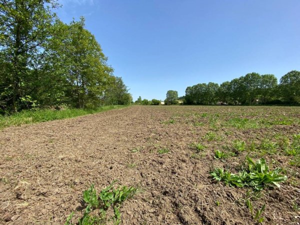 casa indipendente in vendita a Teolo in zona Villa