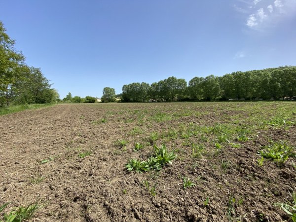 casa indipendente in vendita a Teolo in zona Villa