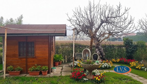 appartamento in vendita a Teolo in zona Bresseo