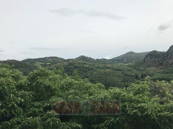 terreno edificabile in vendita a Teolo in zona Castelnuovo