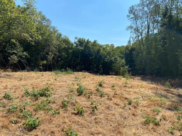 terreno edificabile in vendita a Teolo