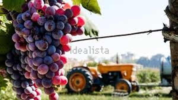 casa indipendente in vendita a Teolo